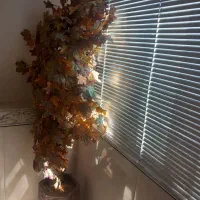 قیمت‌۱‌میلیون‌هست