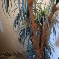 گل مصنوعی با گلدان