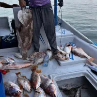 ماهیگیری تفریحی