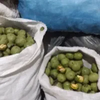 گردو|خوردنی و آشامیدنی|باغ بهادران, |دیوار