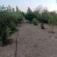 باغ شهری|فروش زمین و ملک کلنگی|شیراز, داریون|دیوار