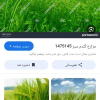 فروش-فوری-زمین-کشاورزی888
