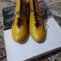 کفش چرم نو|کیف، کفش، کمربند|شیراز, سفیرشمالی|دیوار