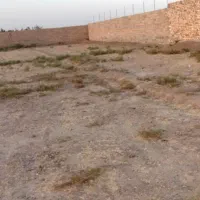 ۱۴ من زمین زعفرانی واقع در چاه زنگویی