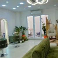 اجاره صندلی لاین رنگ و احیا مو