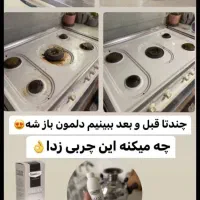 موتور شو  خودرو نانو(  چربی زدا گاز و قابلمه)|لوازم نظافت|نیشابور, شهرک ولیعصر|دیوار