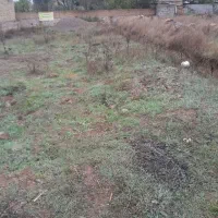 زمین فروشی ۳۰۰متر درمیر افضل