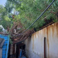 کار با اره بنزینی