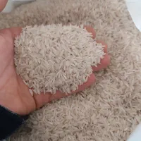 برنج فجر