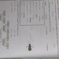 کتاب علوم نهم حرفه ها مناسب قبولی در تیزهوشان|کتاب و مجله آموزشی|لاهیجان, گلستان|دیوار