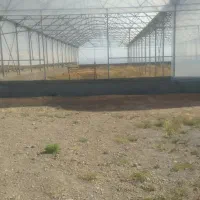 گلخانه فروشی