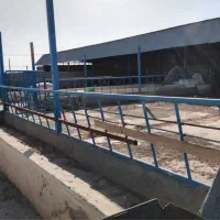 اجاره دامداری برای گوسفند وگوساله (ماهانه وسالانه)