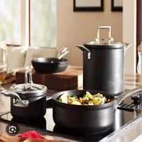 استخدام خانگی