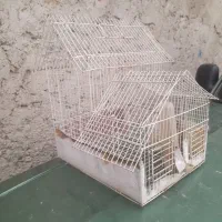 قفس پرنده