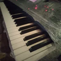 ارگ pa800