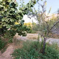 چهاردیواری 300 متری در منطقه توریستی کوشکزر کردان|فروش زمین و ملک کلنگی|هشتگرد, کوشک زر|دیوار