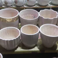 گلدان سرامیکی تخفیفات ویزه کادویی|گل و گیاه طبیعی|تبریز, |دیوار