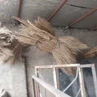 جارو شهر داری