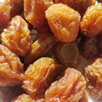 آلو بخارا درجه یک آبجوشی|خوردنی و آشامیدنی|شیراز, ریاستی|دیوار