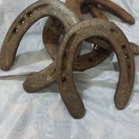 نعل اسب