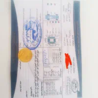 206 اس دی V8 مدل 88|خودرو سواری و وانت|ایلام, |دیوار