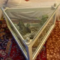 آکواریوم سه ضلعی(میز جلومبلی)