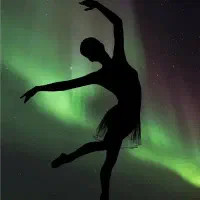 آموزش دنس (رقص عربی . ایرانی . عروس )