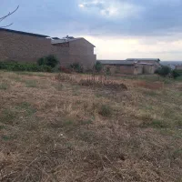 زمین ۲۰۰ متری در القجر