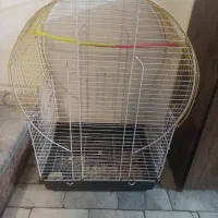 قفس عروس هلندی