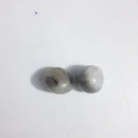 مهره سلطانی تضمینی