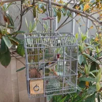 سهره قفس دست بافت