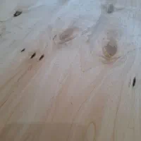 استخدام نیروی کار