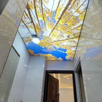 سقف کشسان|خدمات پیشه و مهارت|کرمانشاه, |دیوار