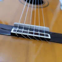 گیتار ARIA AK80|گیتار، بیس، امپلیفایر|پردیس, فاز ۸|دیوار