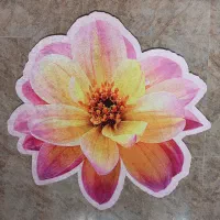 پادری گل زیبا