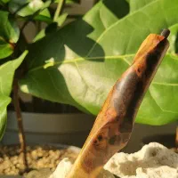 مداد اتود دستساز چوب قسوان