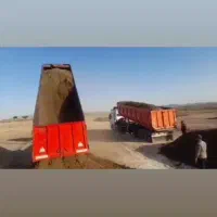 کود گاو پوسیده