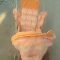 کالسکه