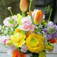 پرستار،مراقب،نظافت،شرکت خدماتی مهرآئین