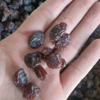 مویز کشمش شیره