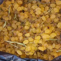 کشمش انگوری اعلا