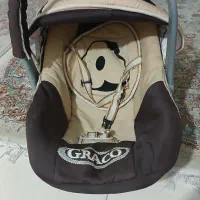 کریر قهوه ای نوزاد