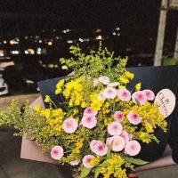 کد زیپاد همراه با جایزه