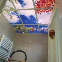 اجرای آسمان مجازی