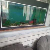 اکواریوم با تمامی وسایل اندازه ۵۰×۱۰۰