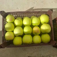 سیب درجه یک|خوردنی و آشامیدنی|شیراز, شهرک فرهنگیان|دیوار