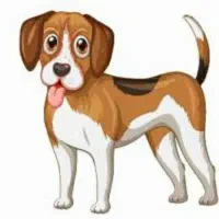 سگ پاکوتاه پیدا شده