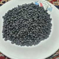 نخود سیاه