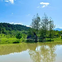 اجاره کلبه سوییسی جکوزی دار با برکه اختصاصی|اجارهٔ کوتاهمدت ویلا و باغ|رشت, کاکتوس|دیوار