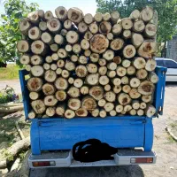 خریدوبرشکاری چوب آلات